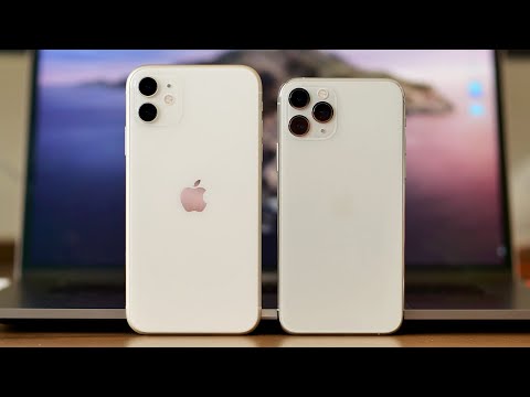iPhone 11 evaluate: The only iPhone price buying