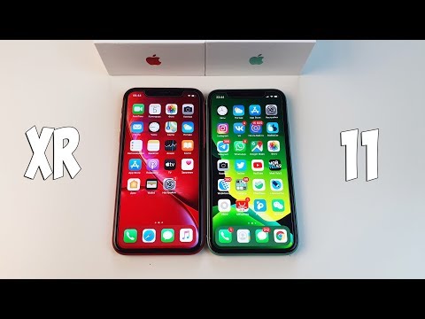 Apple iPhone eleven vs iPhone XR comparison: What's the distinction?