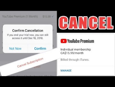 Cancel Or Pause Your Youtube Tv Membership
